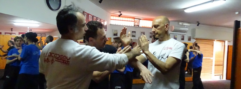Kung Fu Caserta Italia Accademia di Wing Chun di Sifu Salvatore Mezzone